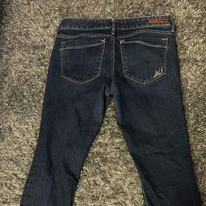 Express Stella skinny Jean